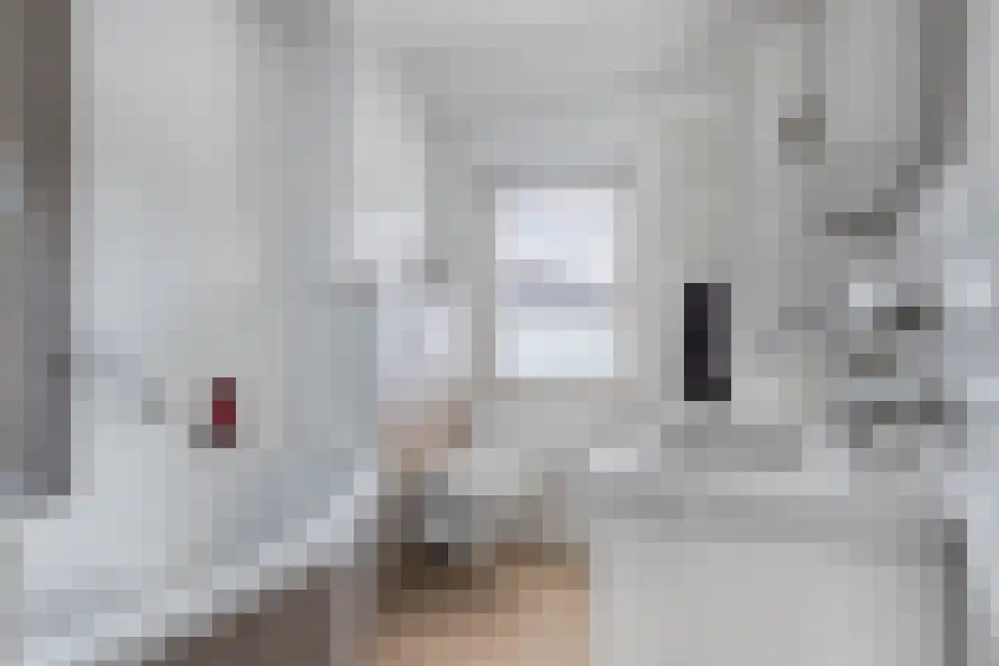 Frankrijkstraat 54 Drunen thumbnail 23
