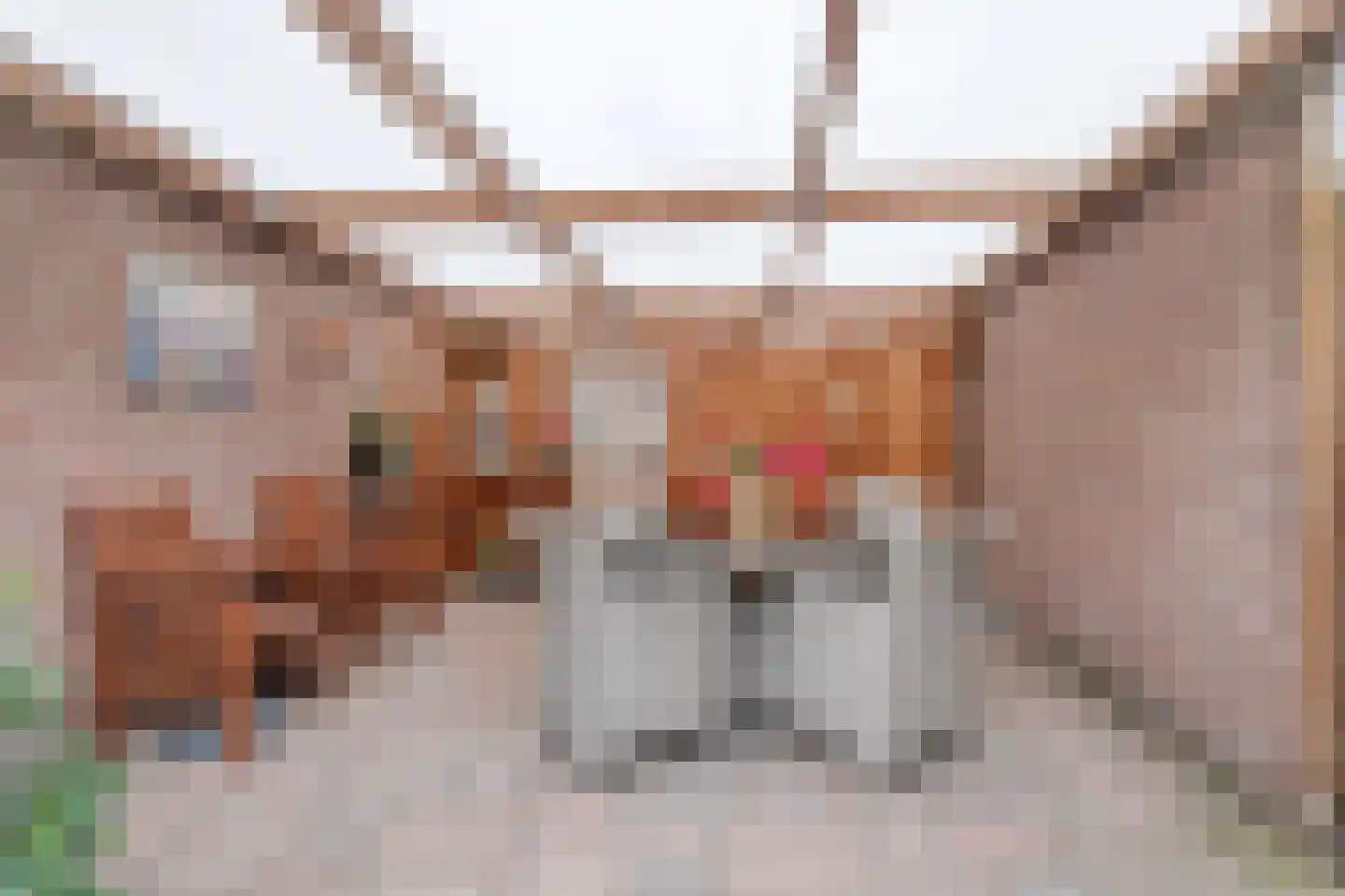 Frankrijkstraat 54 Drunen thumbnail 30