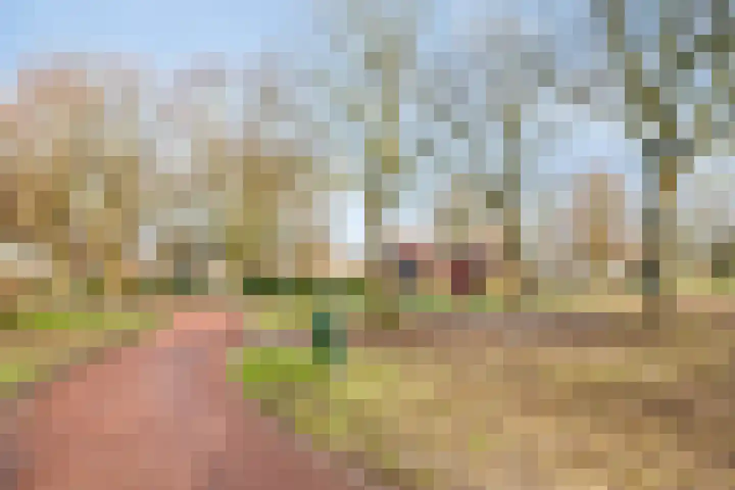 Frankrijkstraat 54 Drunen thumbnail 36
