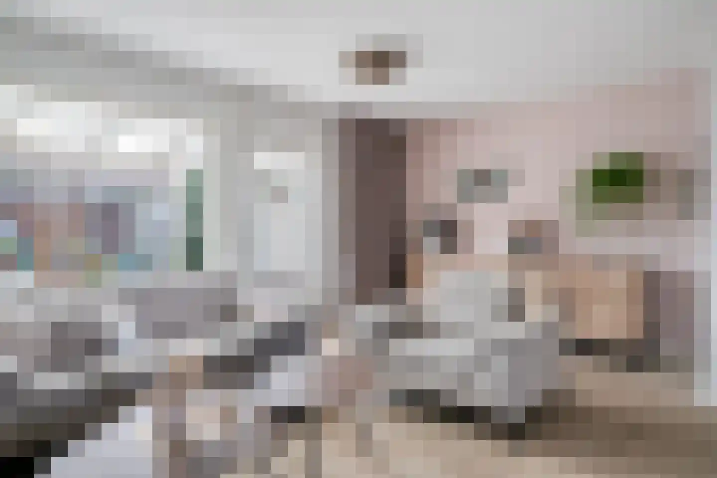 Frankrijkstraat 54 Drunen thumbnail 9