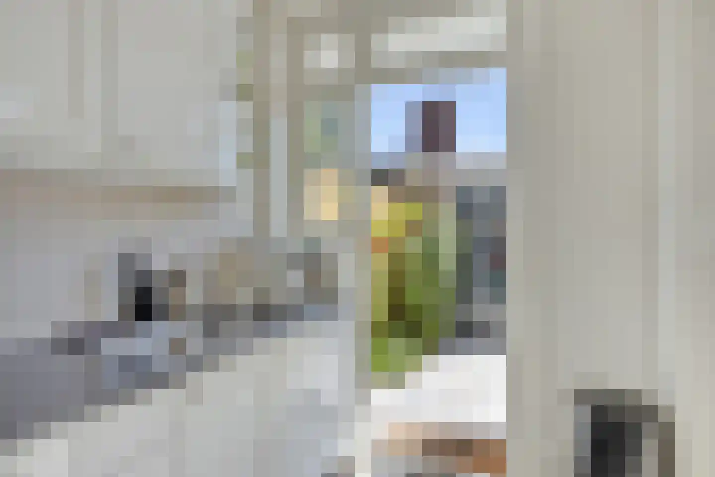 Frankrijkstraat 57 Eindhoven thumbnail 13