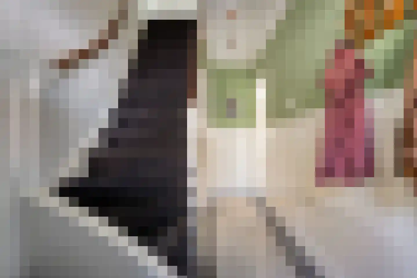 Frankrijkstraat 57 Eindhoven thumbnail 15