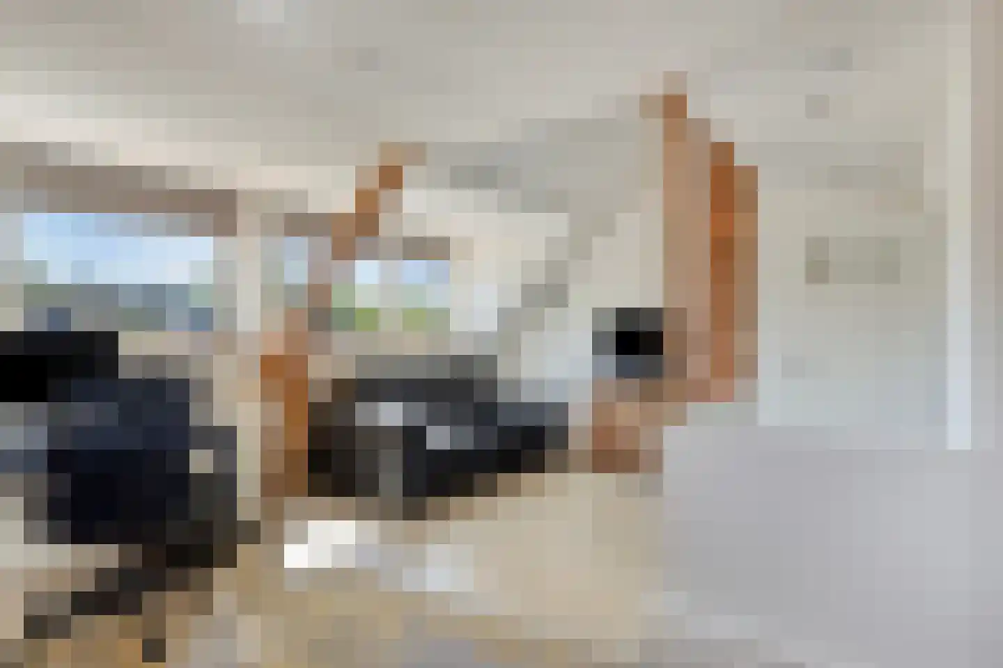 Frankrijkstraat 57 Eindhoven thumbnail 23