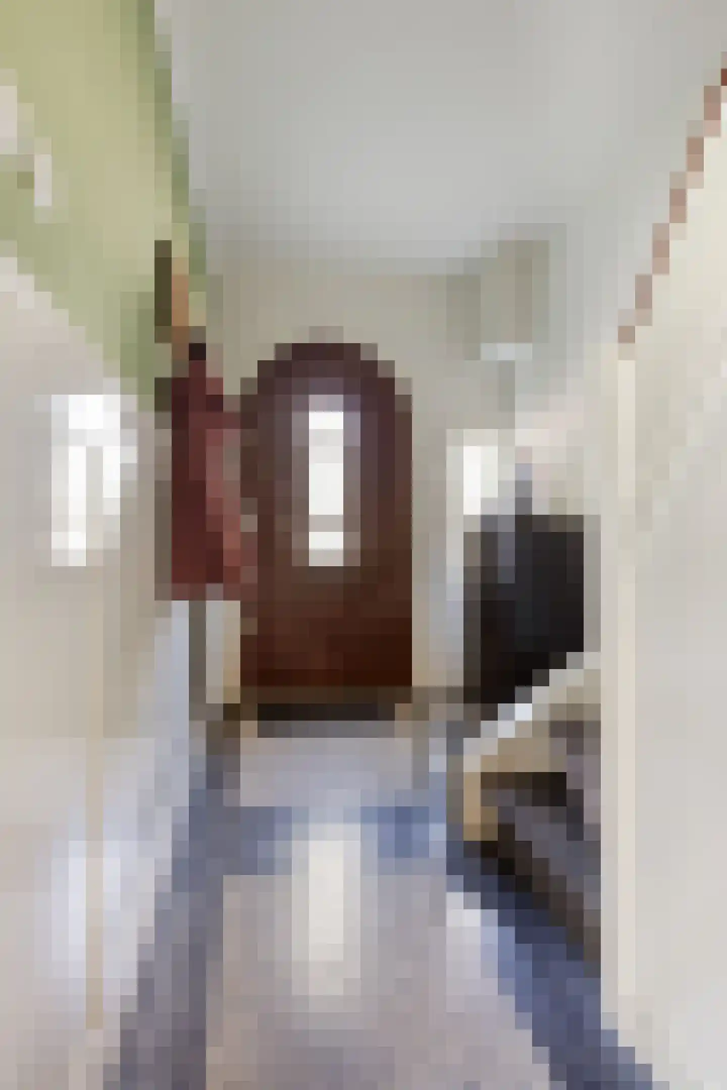 Frankrijkstraat 57 Eindhoven thumbnail 4