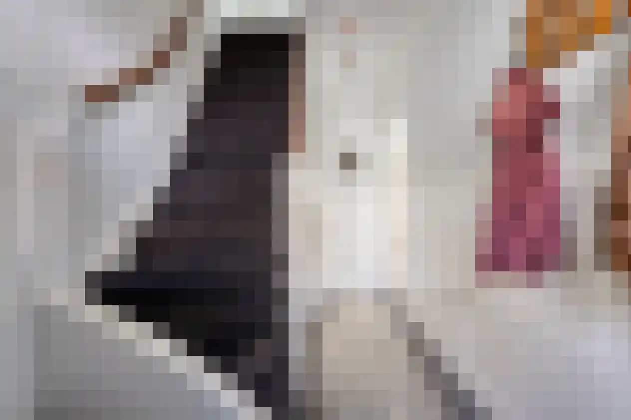 Frankrijkstraat 57 Eindhoven thumbnail 4