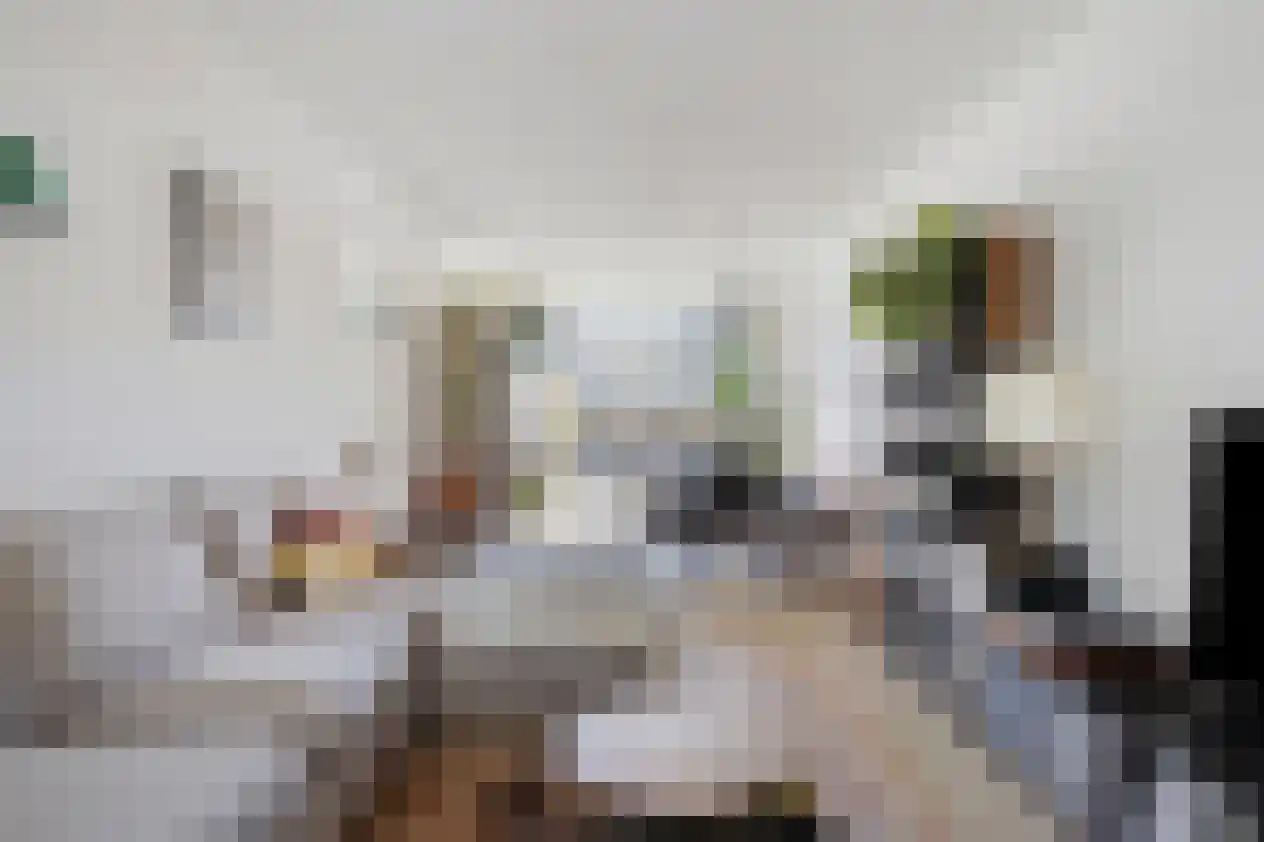 Frankrijkstraat 57 Eindhoven thumbnail 6