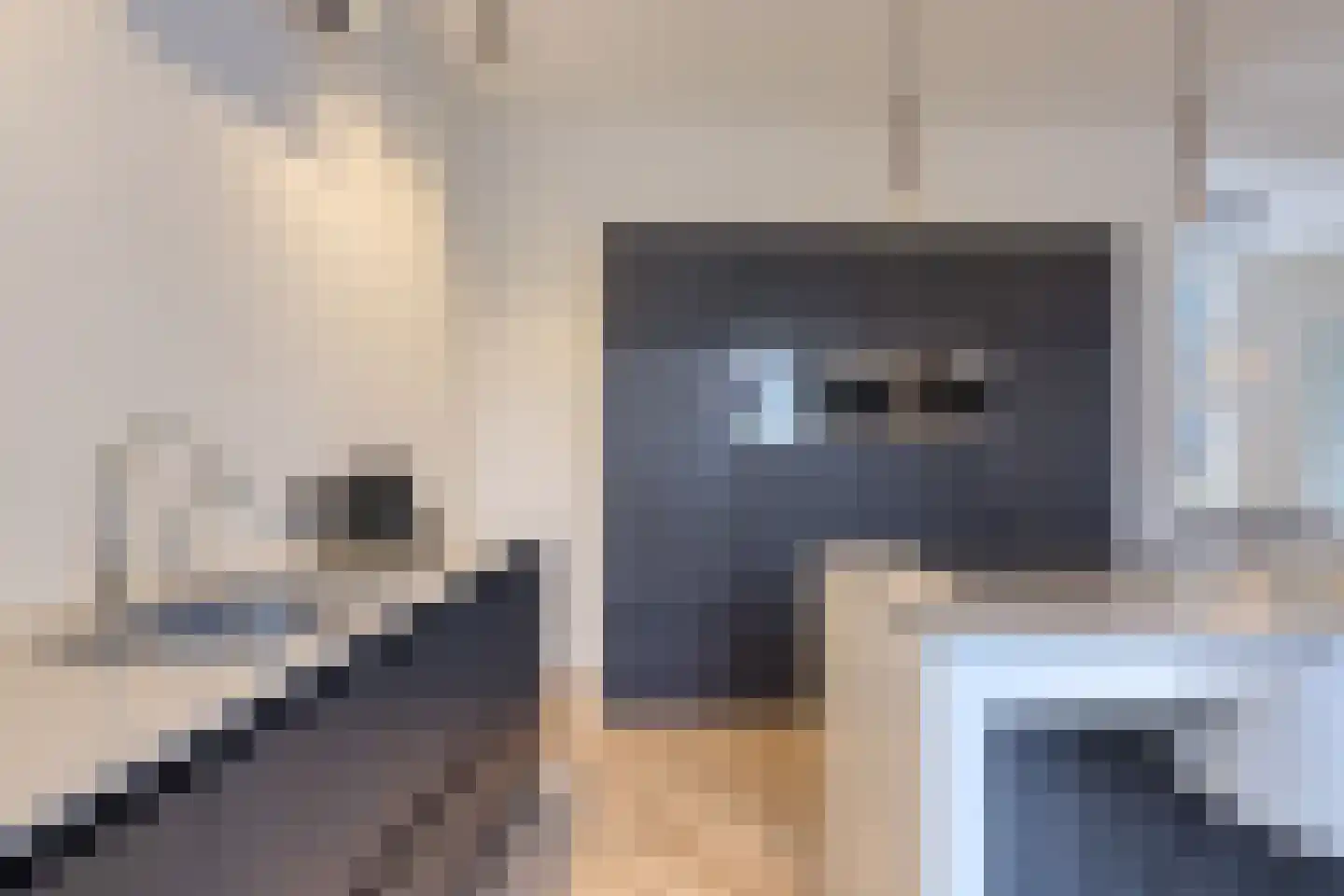 Frankrijkstraat 9 Eindhoven thumbnail 15