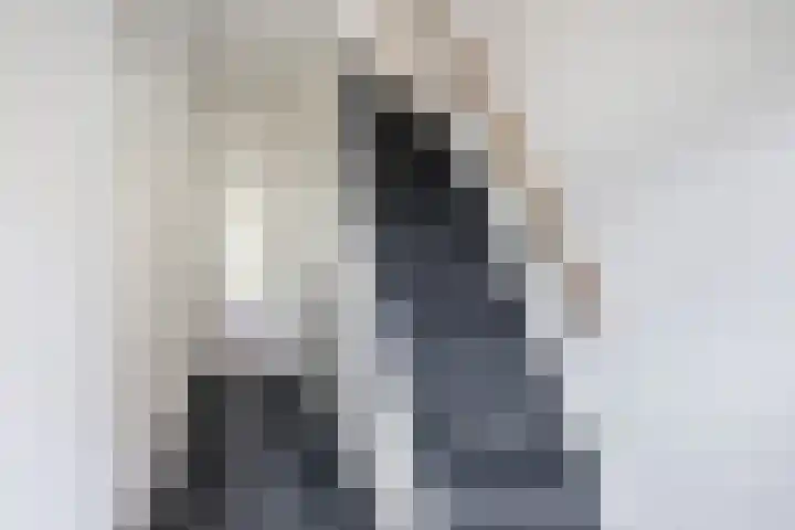 Frankrijkstraat 98 Eindhoven thumbnail 12