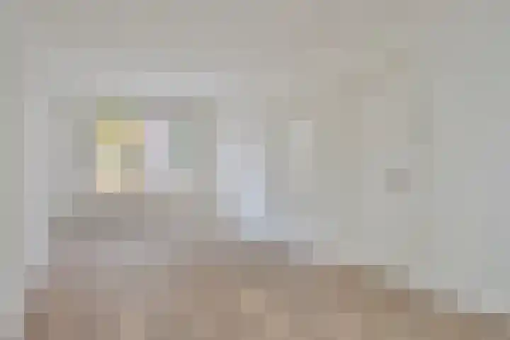 Frankrijkstraat 98 Eindhoven thumbnail 16