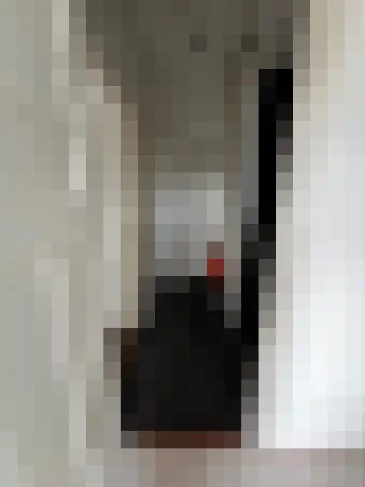 Frankrijkstraat 98 Eindhoven thumbnail 26