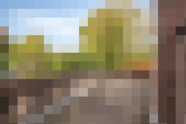Frankrijkstraat 98 Eindhoven thumbnail 38