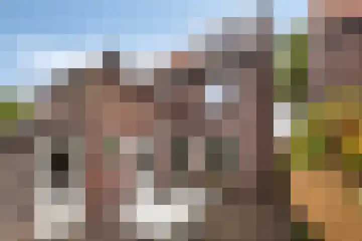 Frankrijkstraat 98 Eindhoven thumbnail 43