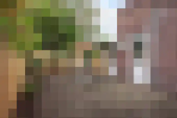 Frankrijkstraat 98 Eindhoven thumbnail 5