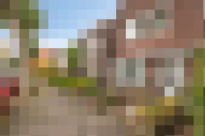 Frankrijkstraat 98 Eindhoven thumbnail 8