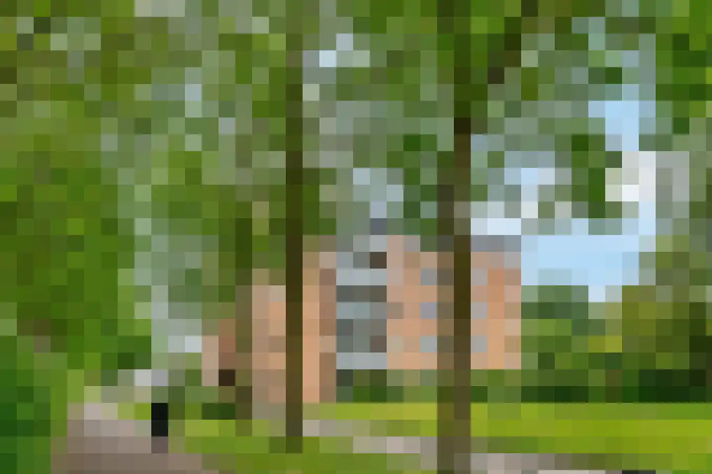 Frankrijkstraat 98 IJsselstein thumbnail 28