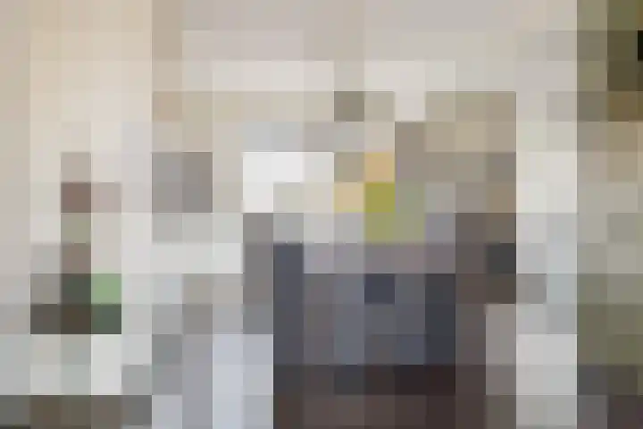 Frankweg 2 Beltrum thumbnail 10