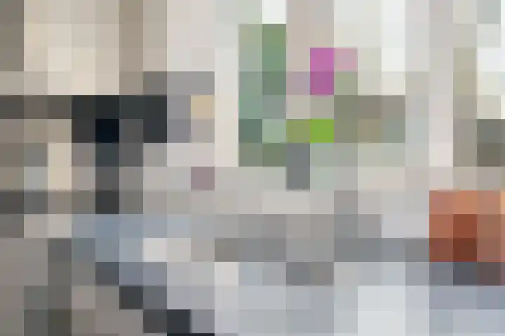 Frankweg 2 Beltrum thumbnail 14