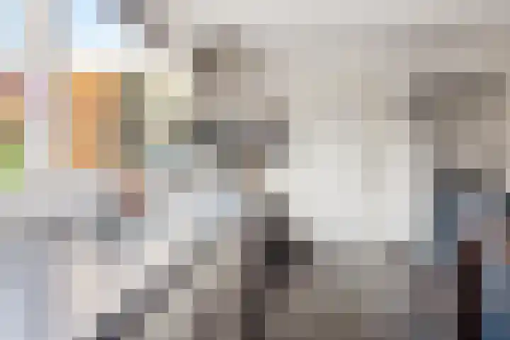 Frankweg 2 Beltrum thumbnail 16