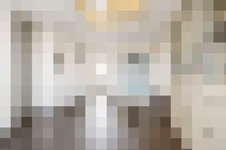 Frankweg 2 Beltrum thumbnail 17