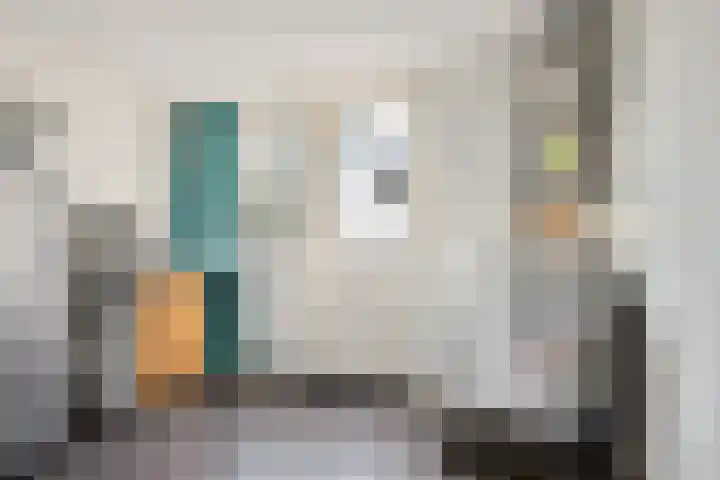 Frankweg 2 Beltrum thumbnail 20