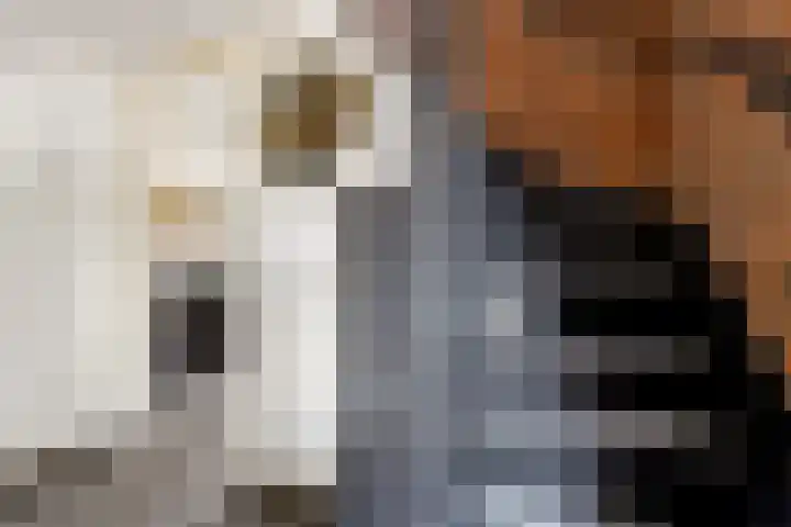 Frankweg 2 Beltrum thumbnail 23