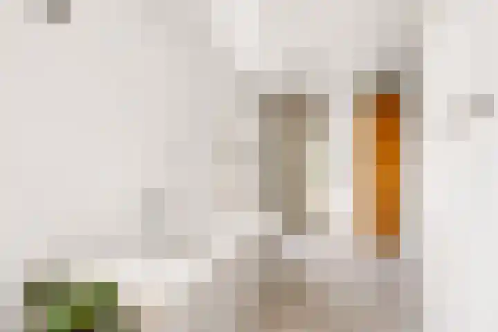 Frankweg 2 Beltrum thumbnail 27