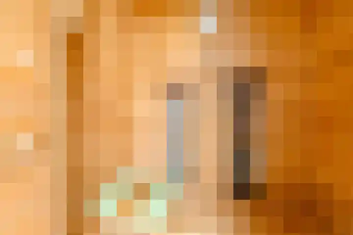 Frankweg 2 Beltrum thumbnail 30