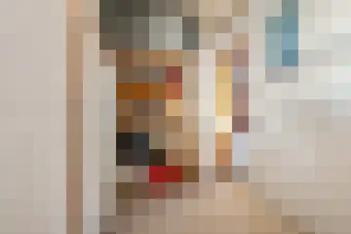 Frankweg 2 Beltrum thumbnail 41