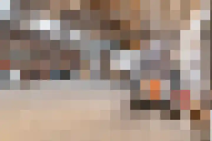 Frankweg 2 Beltrum thumbnail 45