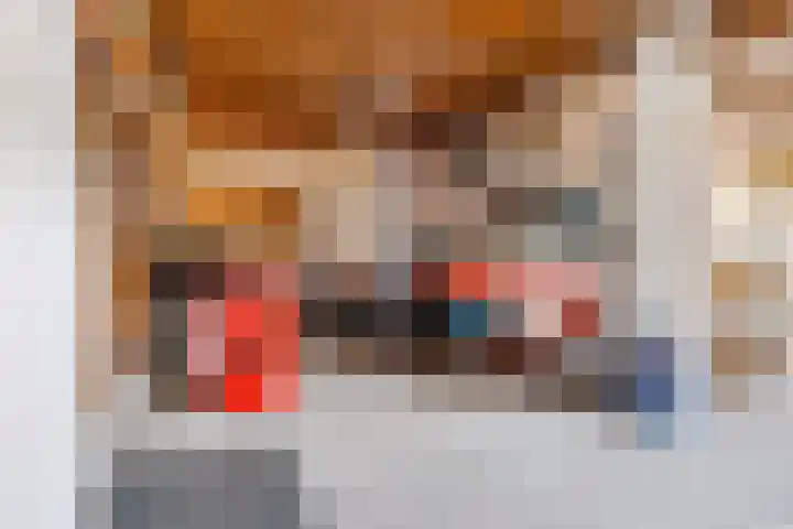 Frankweg 2 Beltrum thumbnail 46