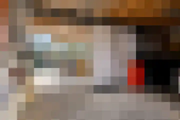 Frankweg 2 Beltrum thumbnail 49