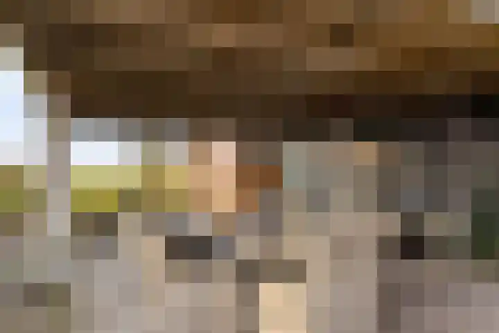 Frankweg 2 Beltrum thumbnail 51