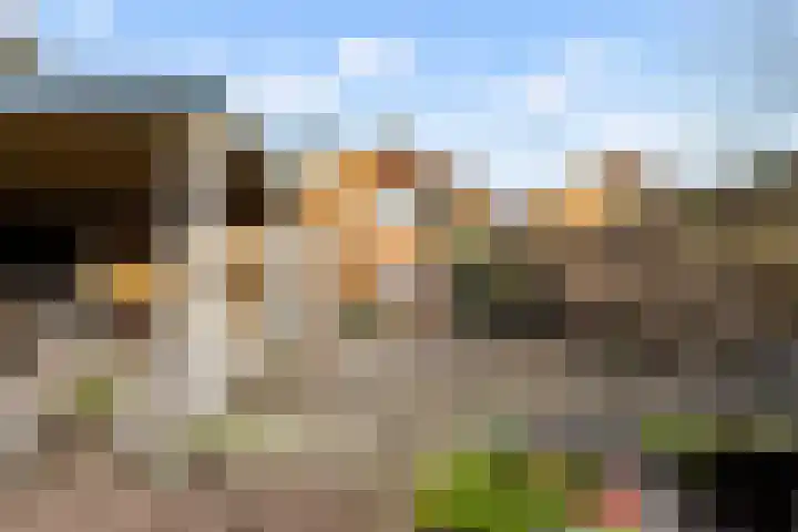 Frankweg 2 Beltrum thumbnail 52