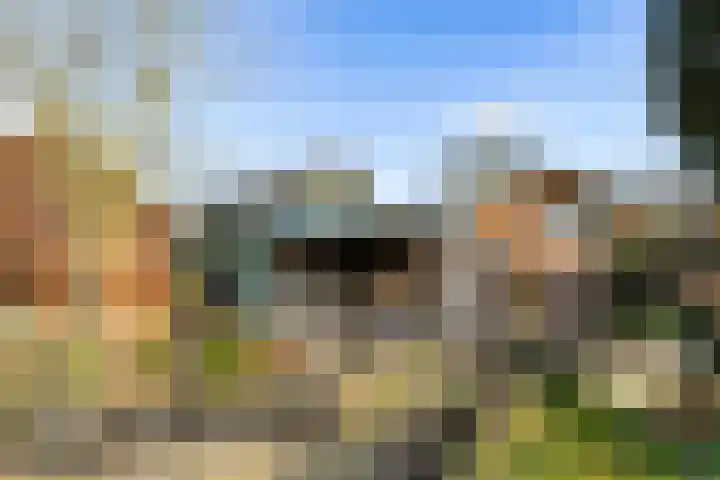 Frankweg 2 Beltrum thumbnail 53