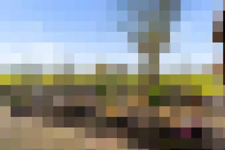 Frankweg 2 Beltrum thumbnail 54