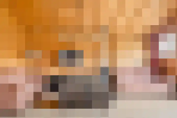 Frankweg 2 Beltrum thumbnail 64