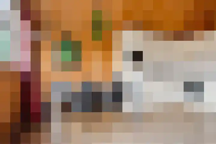 Frankweg 2 Beltrum thumbnail 66