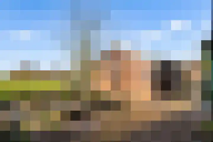 Frankweg 2 Beltrum thumbnail 67