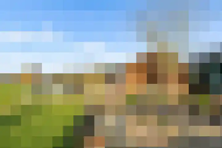 Frankweg 2 Beltrum thumbnail 68