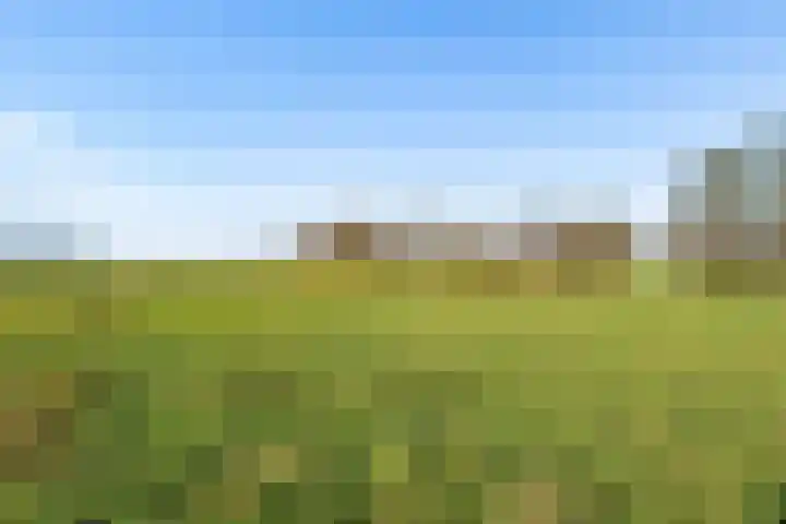 Frankweg 2 Beltrum thumbnail 72