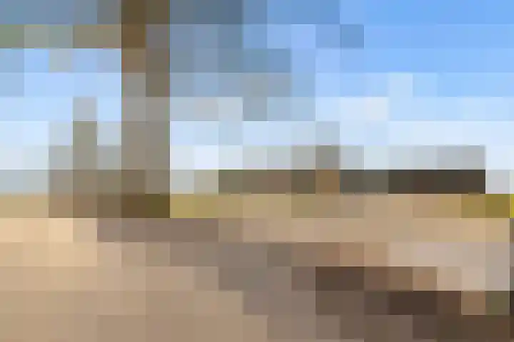 Frankweg 2 Beltrum thumbnail 73