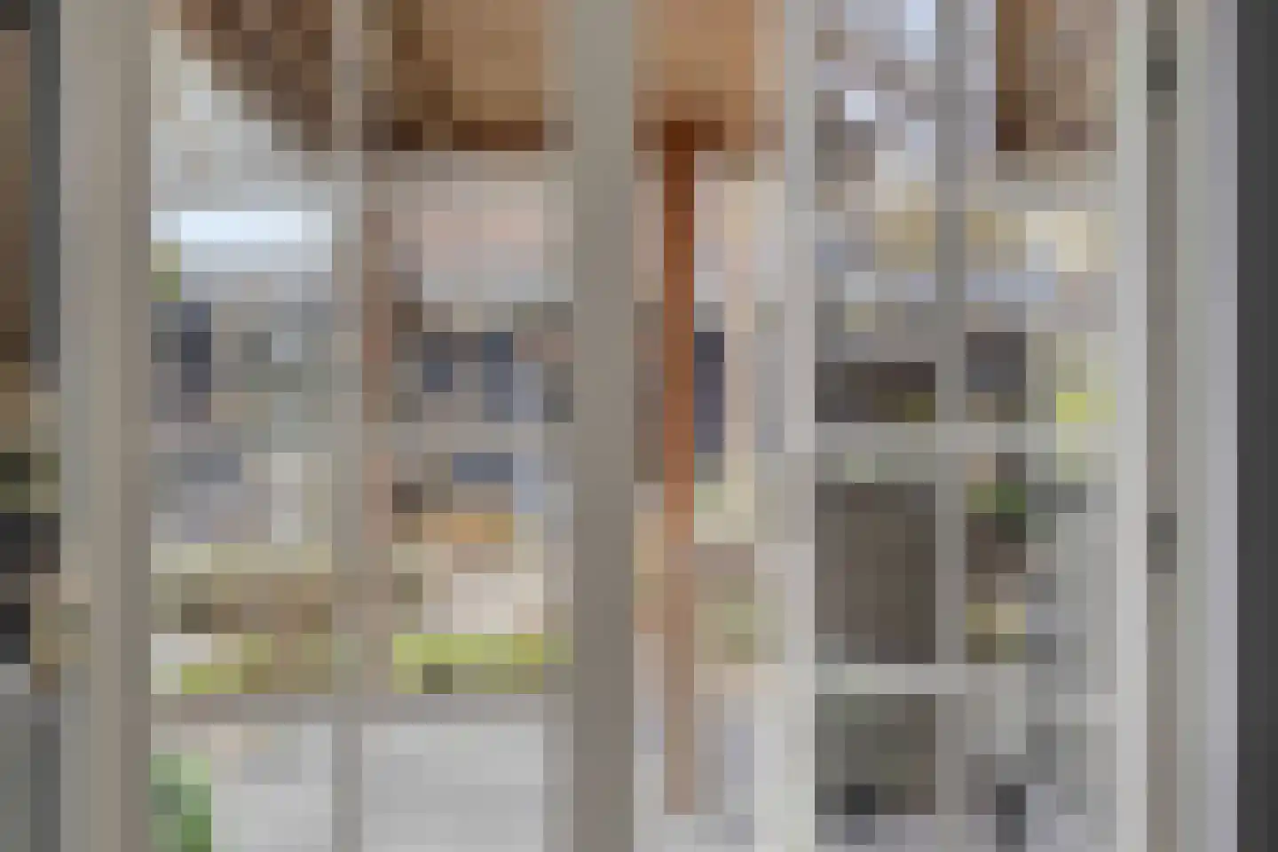 Frans Bekersstraat 29 Veldhoven thumbnail 26