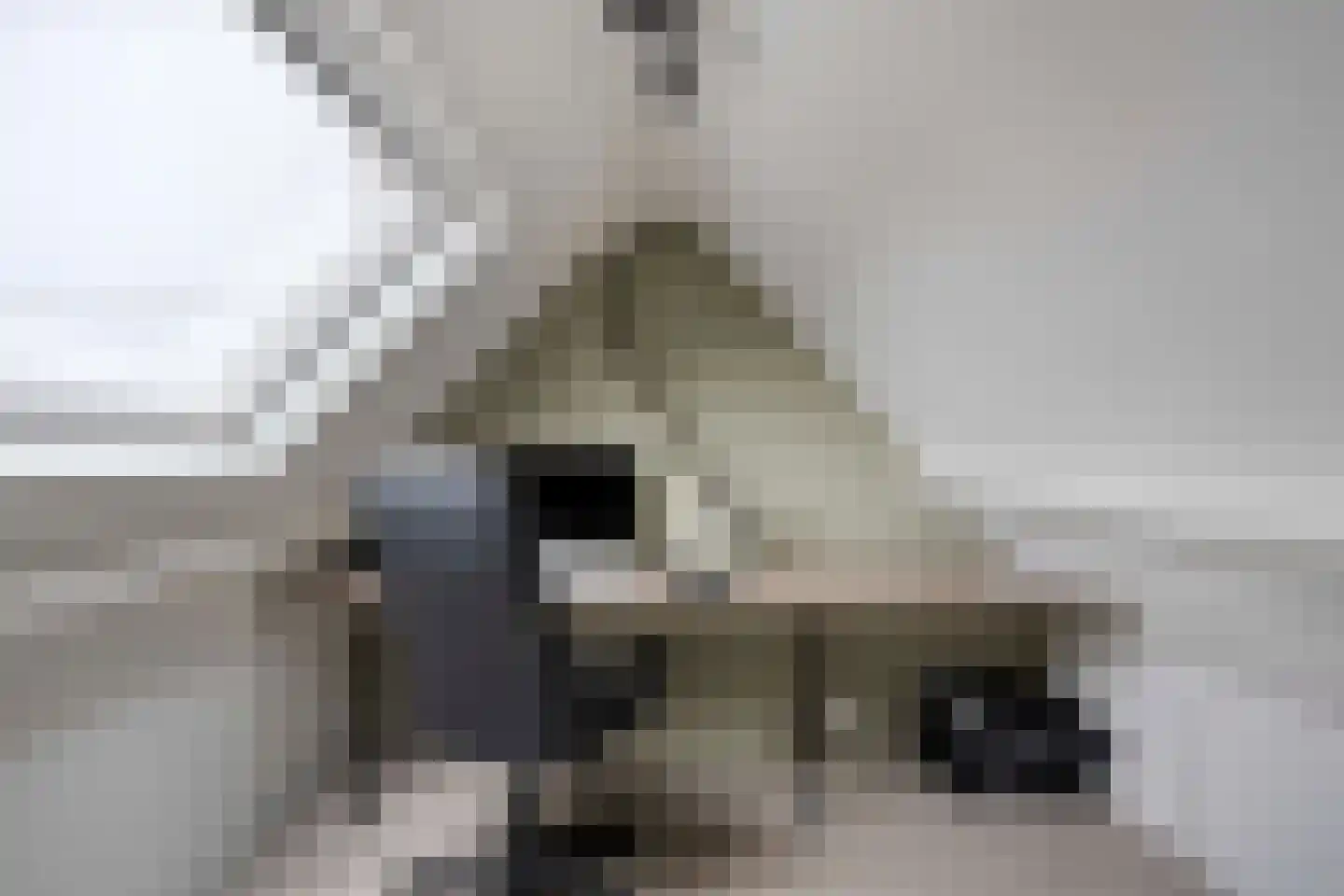 Frans Bekersstraat 29 Veldhoven thumbnail 38