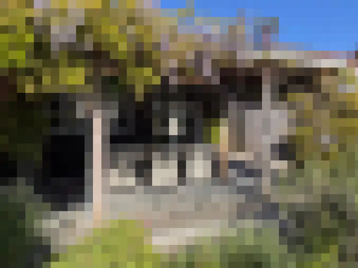 Frans Bekersstraat 29 Veldhoven thumbnail 41