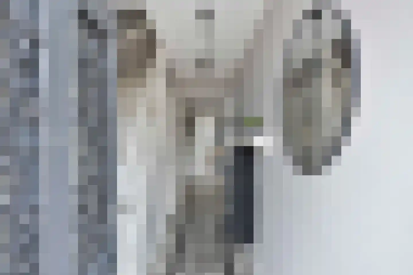 Frans Bekersstraat 29 Veldhoven thumbnail 8
