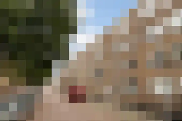 Frans Bekkerstraat 100 A Rotterdam thumbnail 5