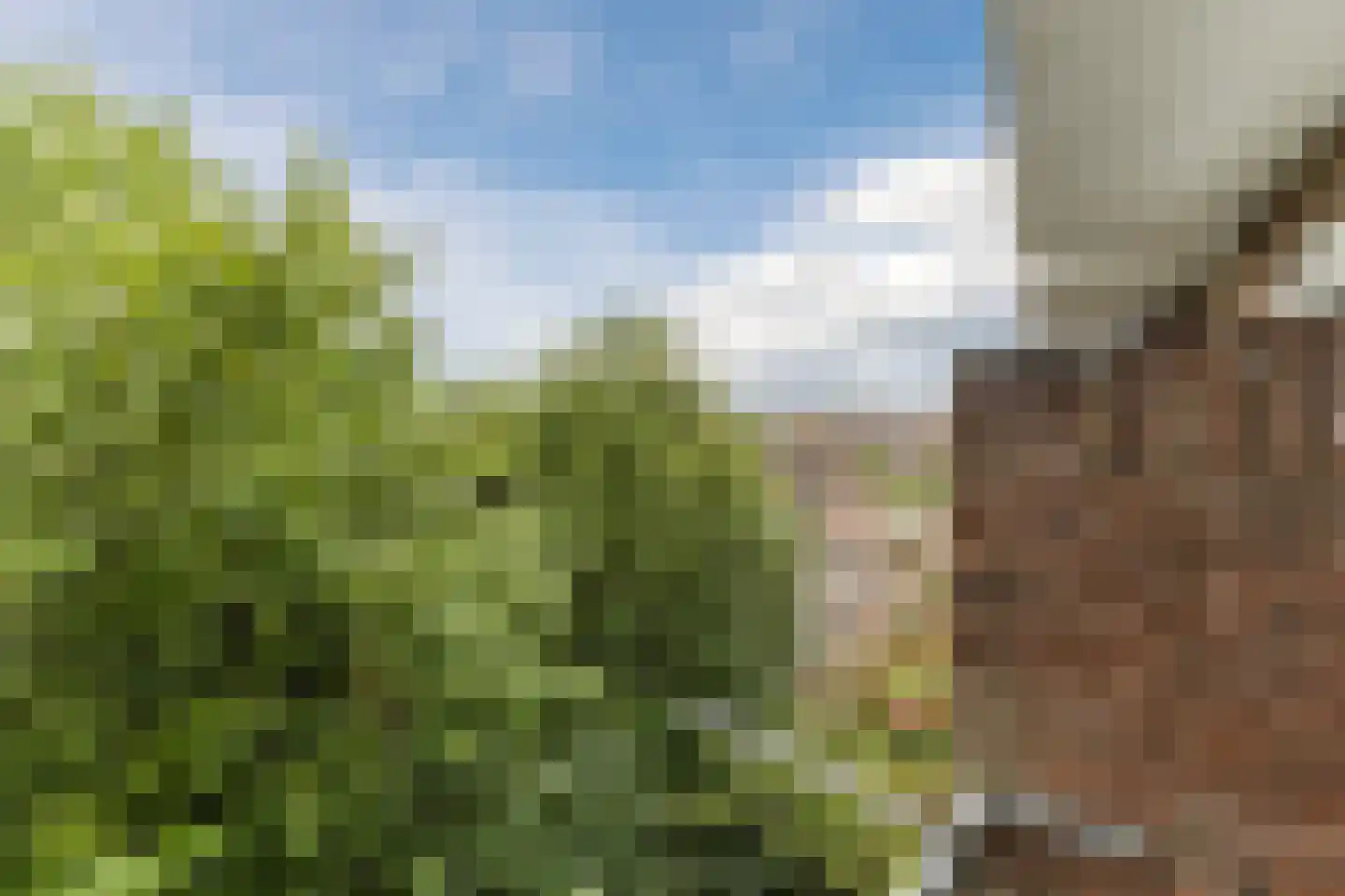 Frans Bekkerstraat 135 C Rotterdam thumbnail 21