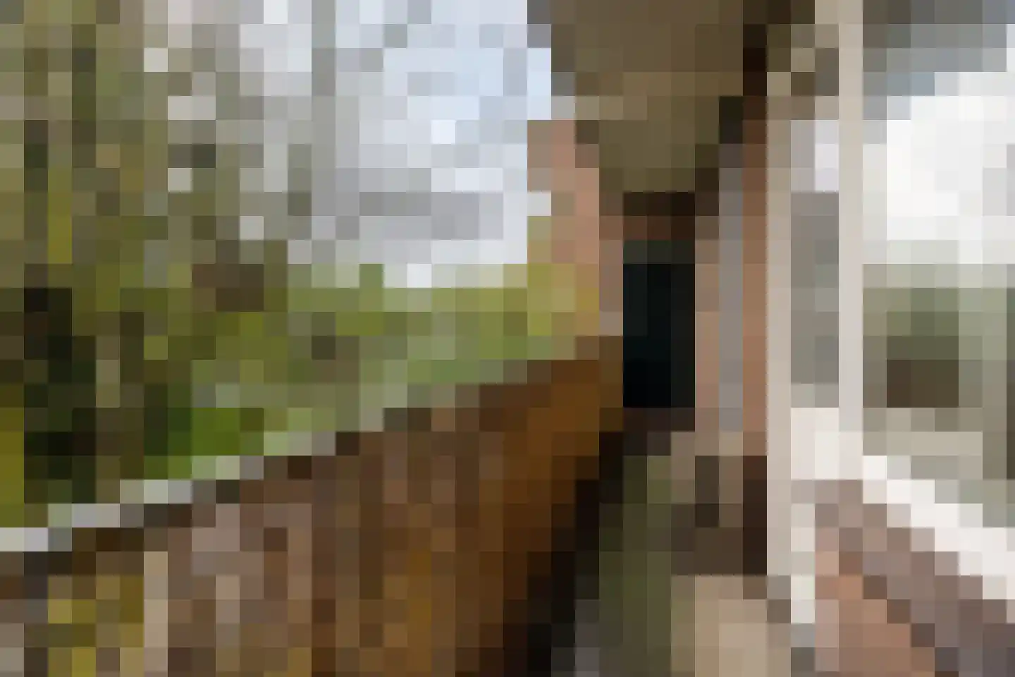 Frans Bekkerstraat 149 A Rotterdam thumbnail 8