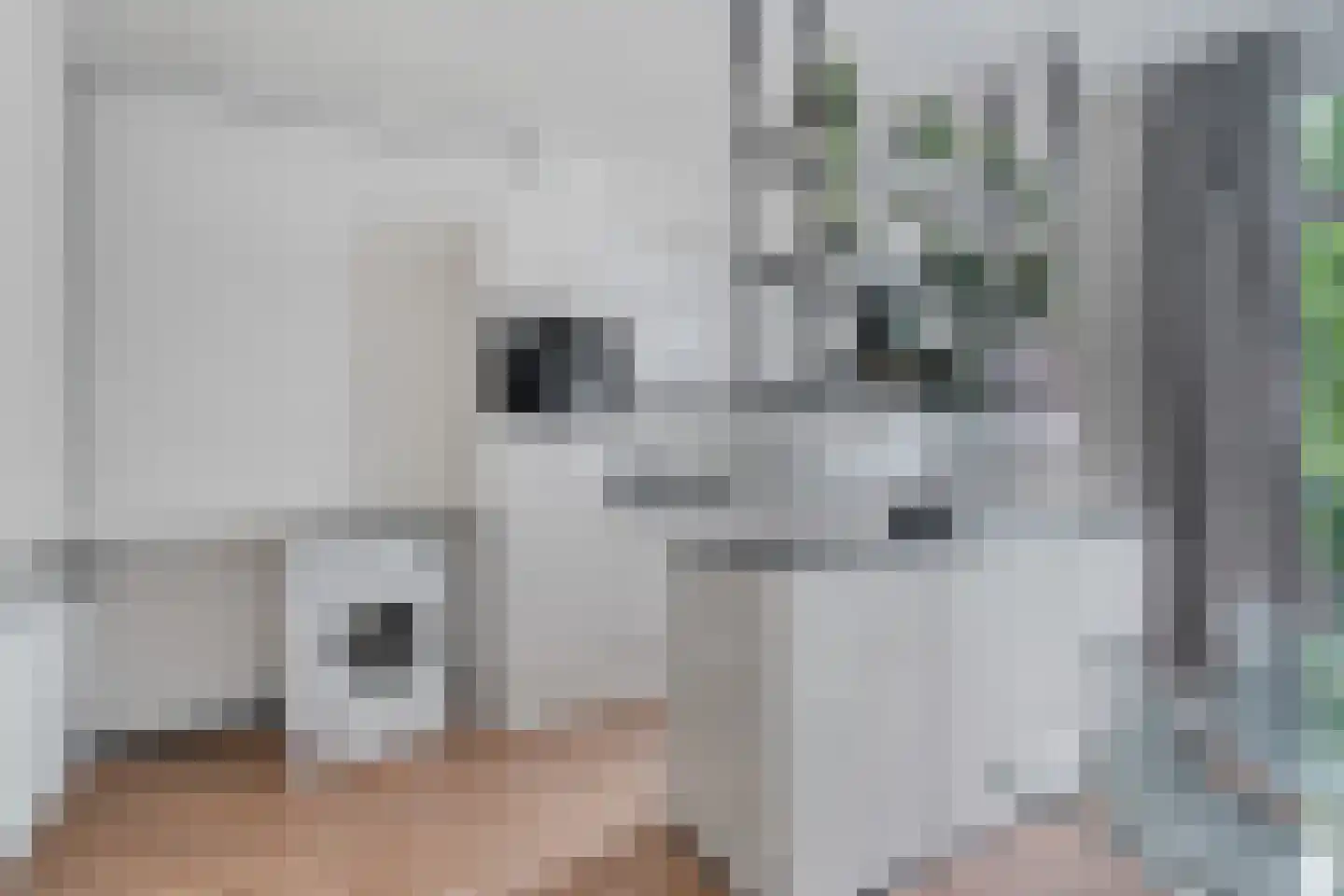 Frans Bekkerstraat 42 A Rotterdam thumbnail 21