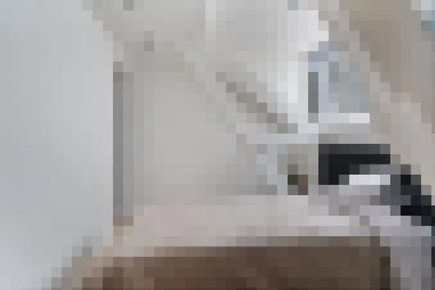 Frans Bekkerstraat 42 A Rotterdam thumbnail 46